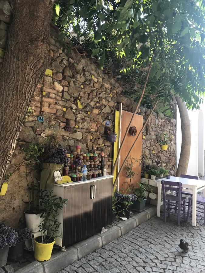 Evren Butik Hotel Τένεδος Εξωτερικό φωτογραφία